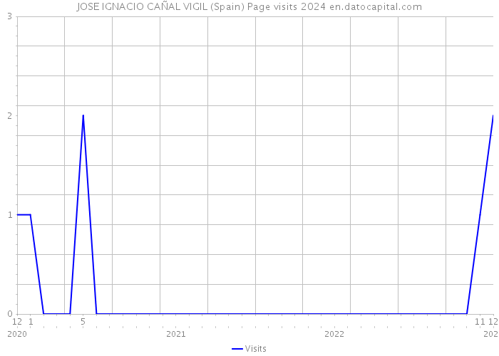 JOSE IGNACIO CAÑAL VIGIL (Spain) Page visits 2024 