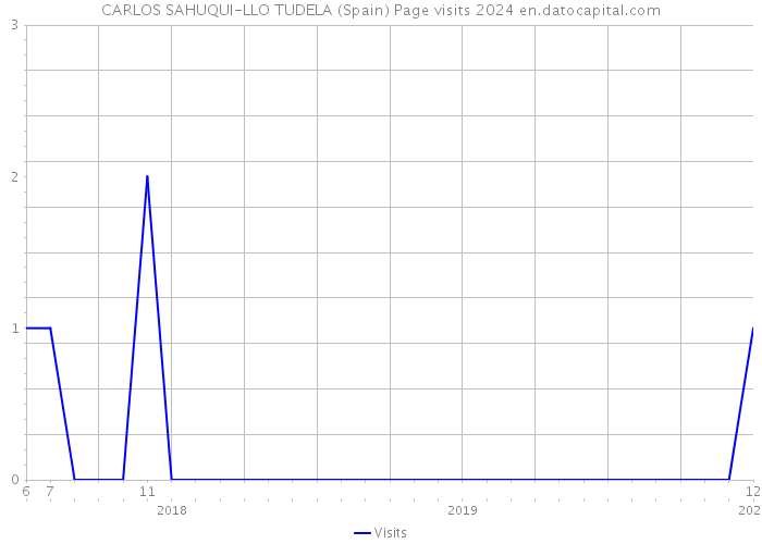 CARLOS SAHUQUI-LLO TUDELA (Spain) Page visits 2024 