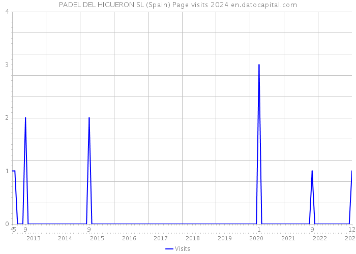 PADEL DEL HIGUERON SL (Spain) Page visits 2024 