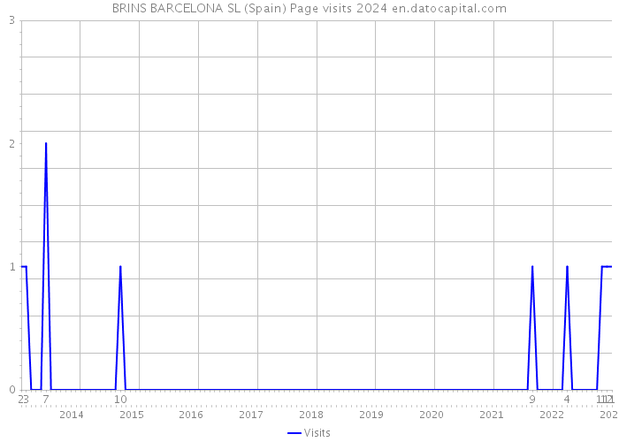 BRINS BARCELONA SL (Spain) Page visits 2024 