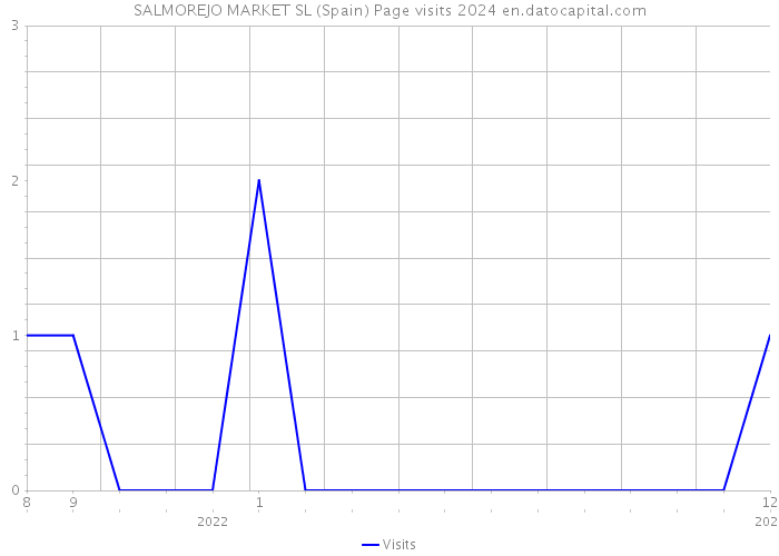 SALMOREJO MARKET SL (Spain) Page visits 2024 