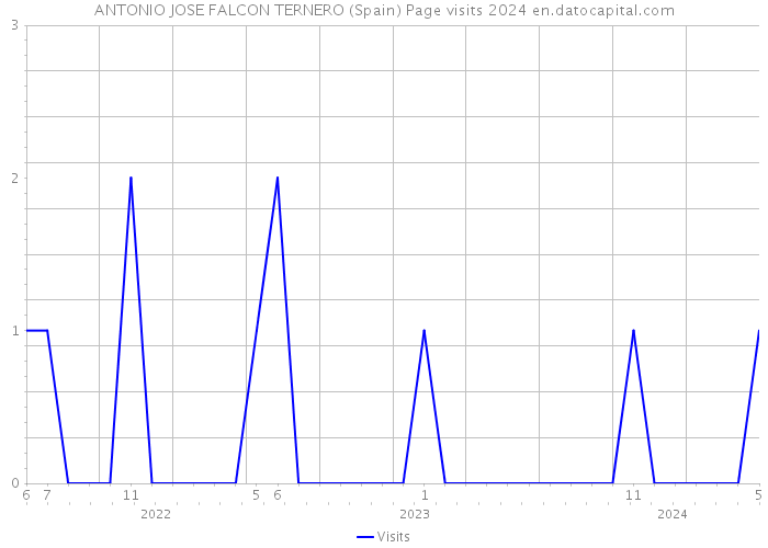ANTONIO JOSE FALCON TERNERO (Spain) Page visits 2024 
