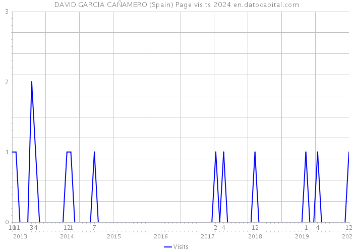 DAVID GARCIA CAÑAMERO (Spain) Page visits 2024 