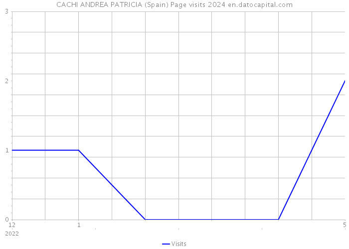 CACHI ANDREA PATRICIA (Spain) Page visits 2024 