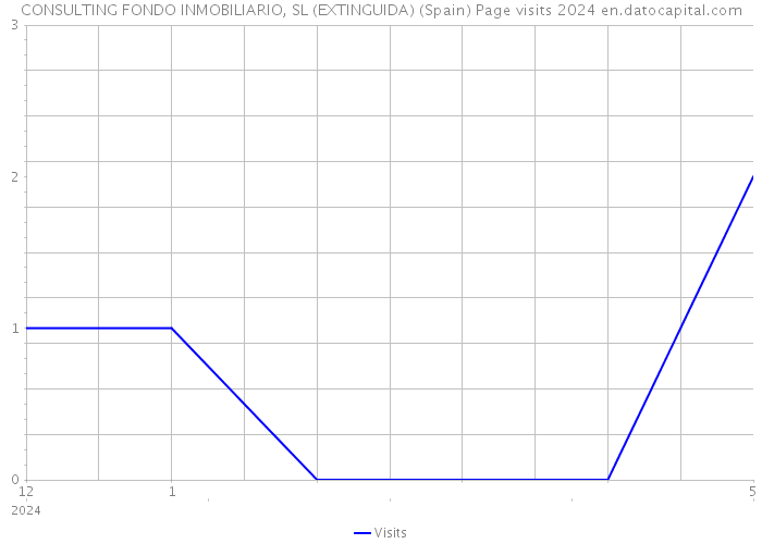 CONSULTING FONDO INMOBILIARIO, SL (EXTINGUIDA) (Spain) Page visits 2024 