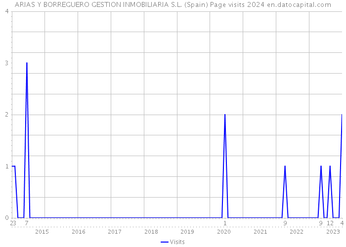 ARIAS Y BORREGUERO GESTION INMOBILIARIA S.L. (Spain) Page visits 2024 