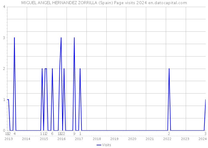 MIGUEL ANGEL HERNANDEZ ZORRILLA (Spain) Page visits 2024 