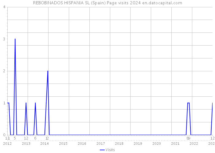 REBOBINADOS HISPANIA SL (Spain) Page visits 2024 
