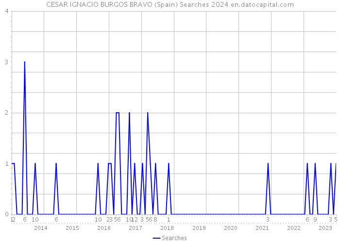 CESAR IGNACIO BURGOS BRAVO (Spain) Searches 2024 