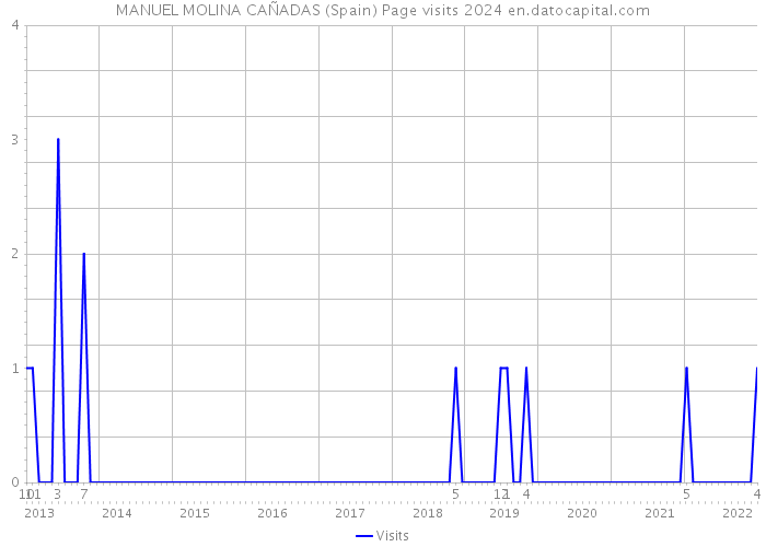 MANUEL MOLINA CAÑADAS (Spain) Page visits 2024 