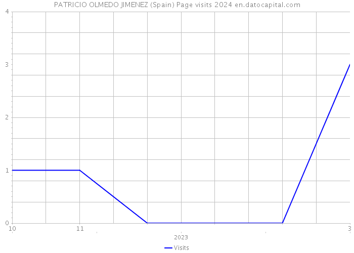 PATRICIO OLMEDO JIMENEZ (Spain) Page visits 2024 
