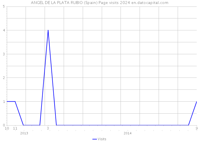 ANGEL DE LA PLATA RUBIO (Spain) Page visits 2024 