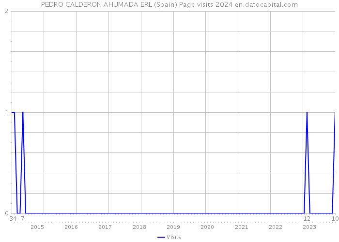 PEDRO CALDERON AHUMADA ERL (Spain) Page visits 2024 
