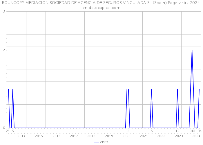 BOUNCOPY MEDIACION SOCIEDAD DE AGENCIA DE SEGUROS VINCULADA SL (Spain) Page visits 2024 