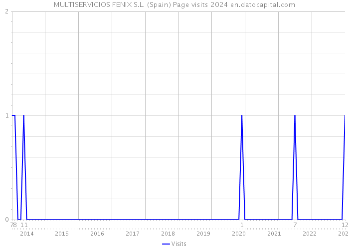MULTISERVICIOS FENIX S.L. (Spain) Page visits 2024 
