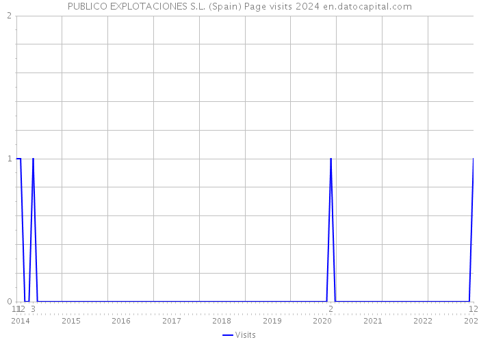 PUBLICO EXPLOTACIONES S.L. (Spain) Page visits 2024 