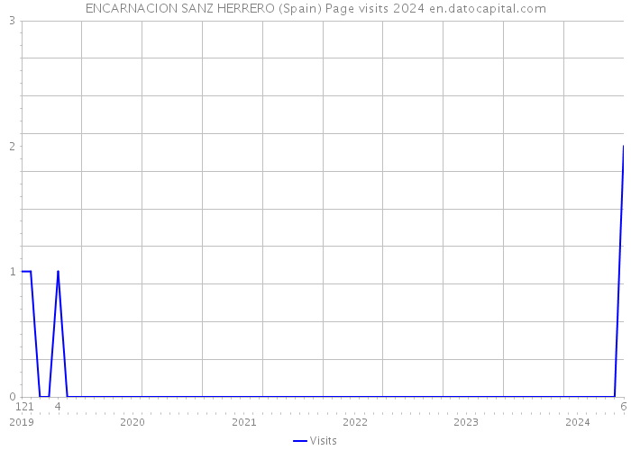 ENCARNACION SANZ HERRERO (Spain) Page visits 2024 