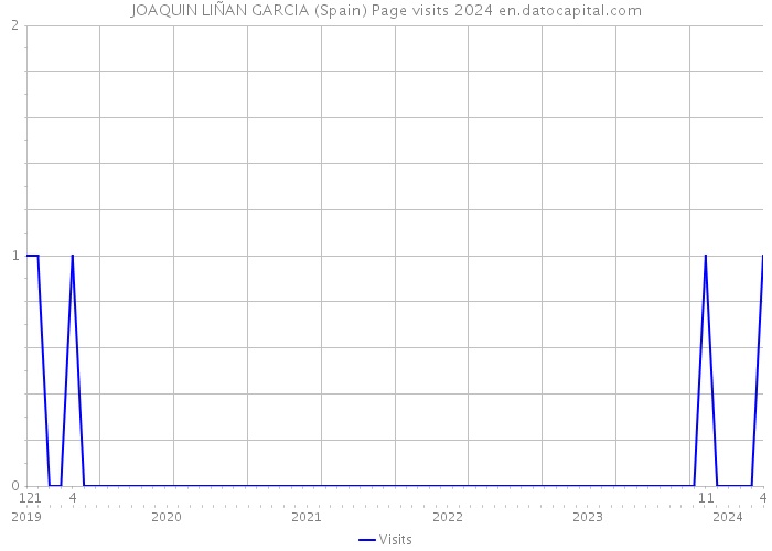 JOAQUIN LIÑAN GARCIA (Spain) Page visits 2024 