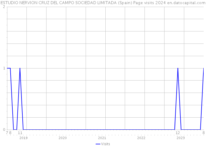 ESTUDIO NERVION CRUZ DEL CAMPO SOCIEDAD LIMITADA (Spain) Page visits 2024 