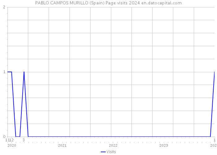 PABLO CAMPOS MURILLO (Spain) Page visits 2024 