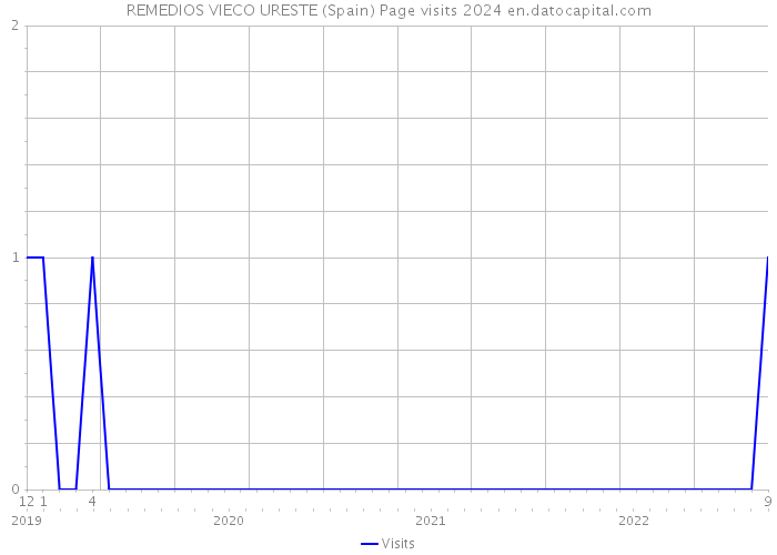 REMEDIOS VIECO URESTE (Spain) Page visits 2024 