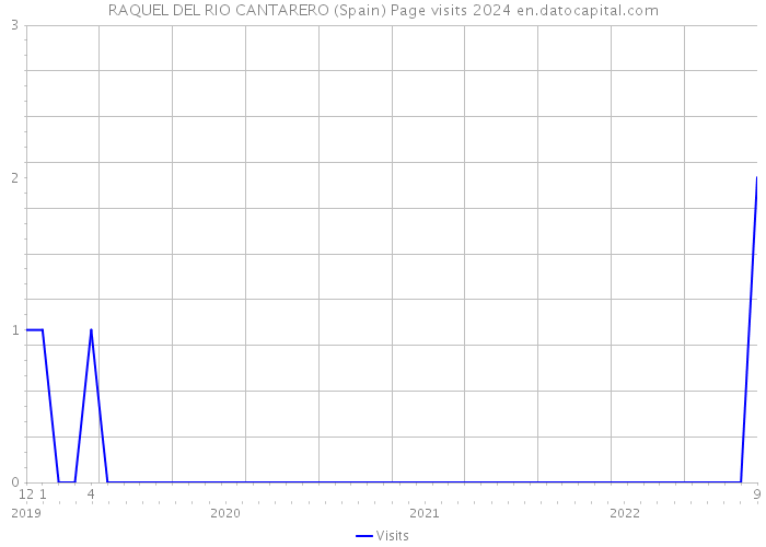RAQUEL DEL RIO CANTARERO (Spain) Page visits 2024 
