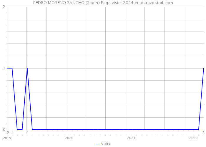 PEDRO MORENO SANCHO (Spain) Page visits 2024 