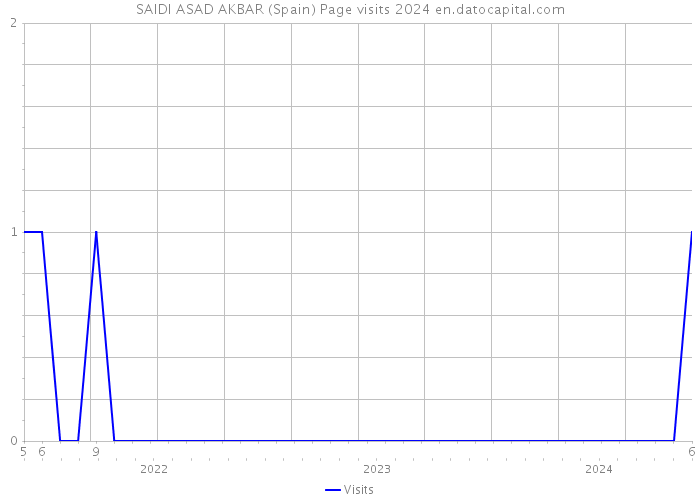 SAIDI ASAD AKBAR (Spain) Page visits 2024 