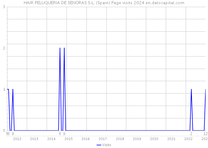HAIR PELUQUERIA DE SENORAS S.L. (Spain) Page visits 2024 