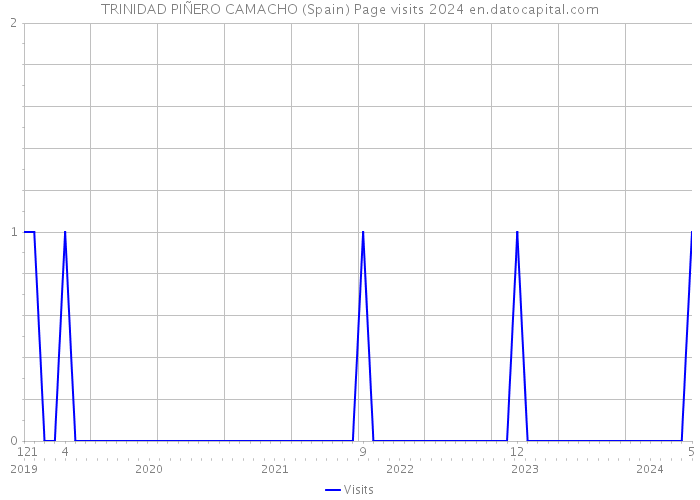 TRINIDAD PIÑERO CAMACHO (Spain) Page visits 2024 