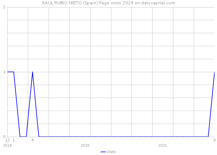 RAUL RUBIO NIETO (Spain) Page visits 2024 