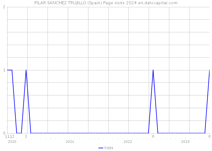 PILAR SANCHEZ TRUJILLO (Spain) Page visits 2024 