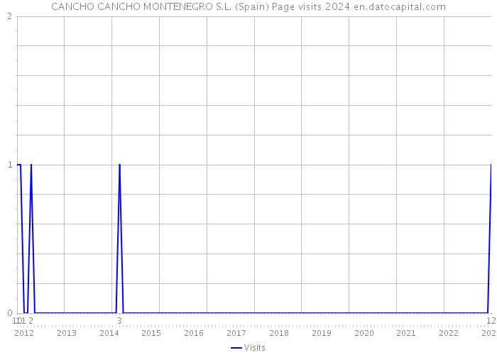 CANCHO CANCHO MONTENEGRO S.L. (Spain) Page visits 2024 