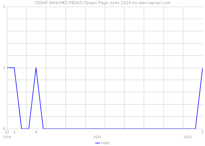 CESAR SANCHEZ INDIAS (Spain) Page visits 2024 