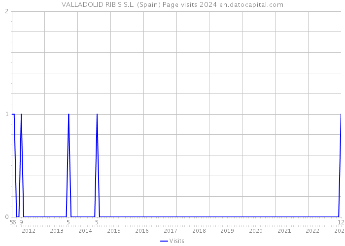 VALLADOLID RIB S S.L. (Spain) Page visits 2024 