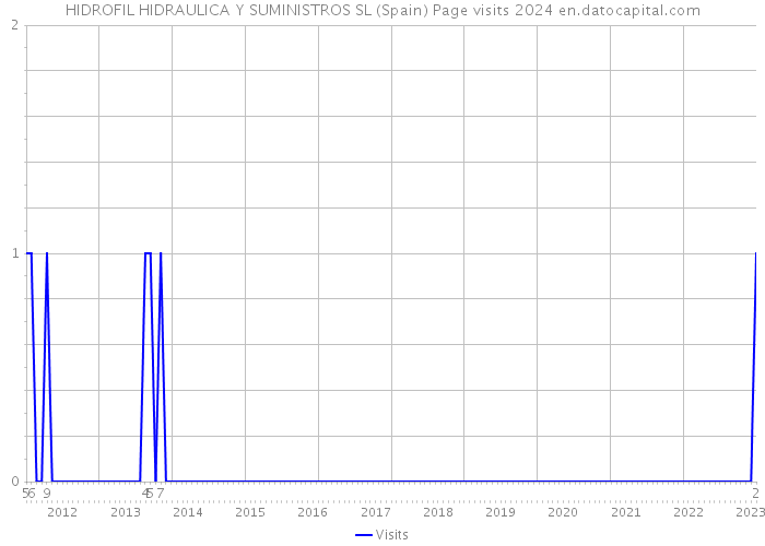 HIDROFIL HIDRAULICA Y SUMINISTROS SL (Spain) Page visits 2024 