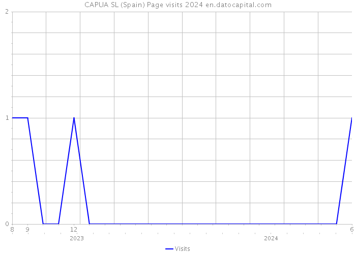 CAPUA SL (Spain) Page visits 2024 