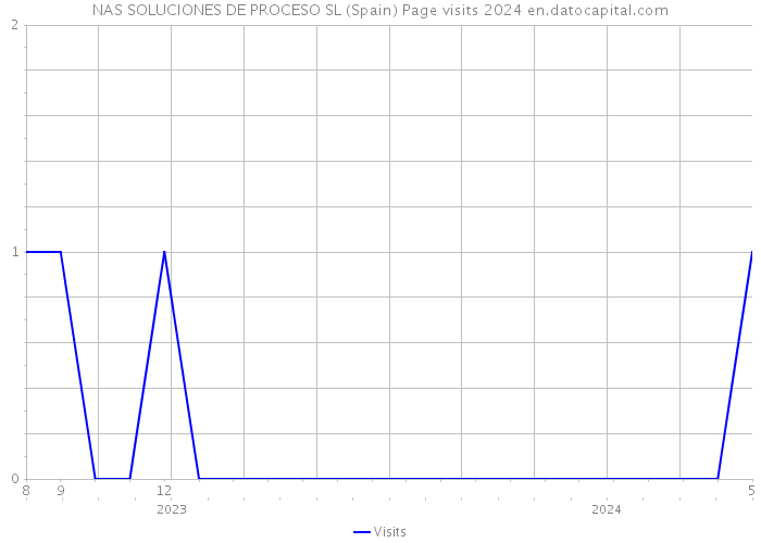 NAS SOLUCIONES DE PROCESO SL (Spain) Page visits 2024 