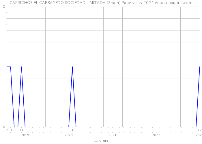 CAPRICHOS EL CARBAYEDO SOCIEDAD LIMITADA (Spain) Page visits 2024 