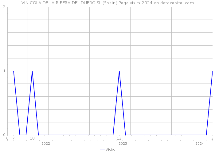 VINICOLA DE LA RIBERA DEL DUERO SL (Spain) Page visits 2024 