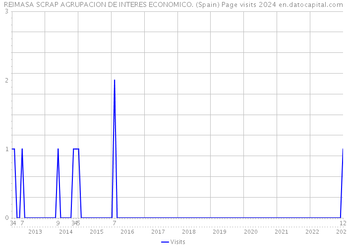 REIMASA SCRAP AGRUPACION DE INTERES ECONOMICO. (Spain) Page visits 2024 