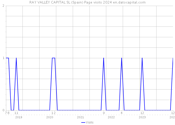 RAY VALLEY CAPITAL SL (Spain) Page visits 2024 