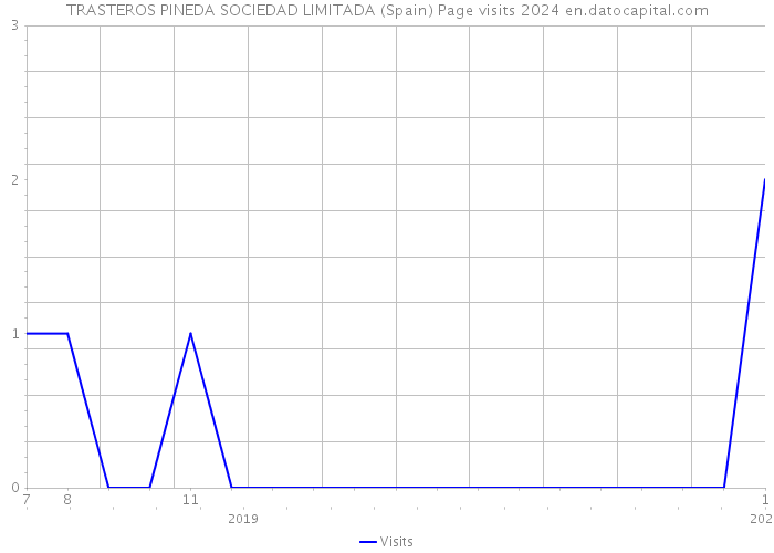 TRASTEROS PINEDA SOCIEDAD LIMITADA (Spain) Page visits 2024 