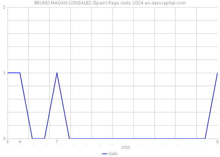 BRUNO MADAN GONZALEZ (Spain) Page visits 2024 