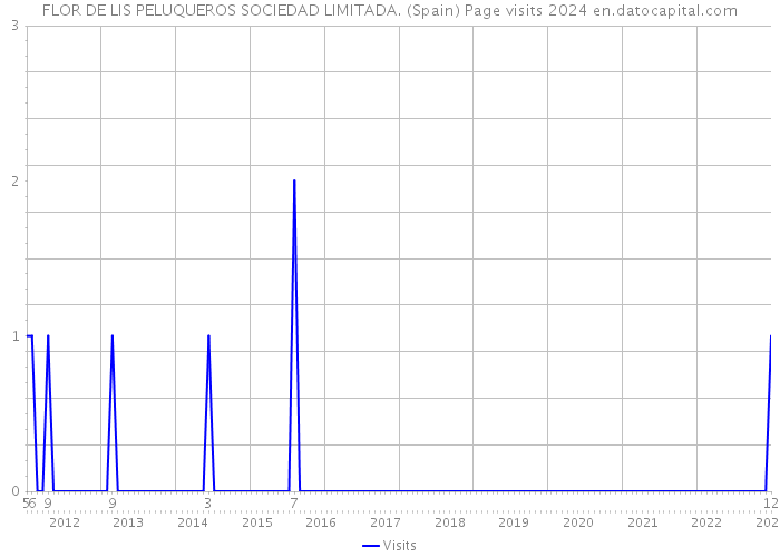 FLOR DE LIS PELUQUEROS SOCIEDAD LIMITADA. (Spain) Page visits 2024 