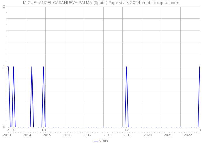 MIGUEL ANGEL CASANUEVA PALMA (Spain) Page visits 2024 