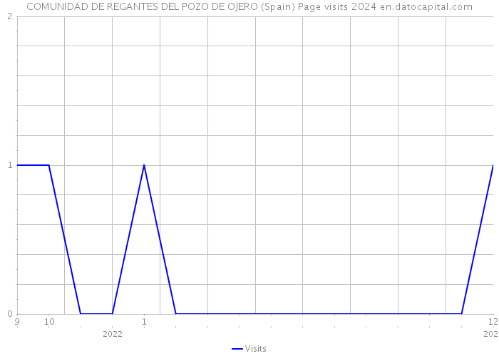 COMUNIDAD DE REGANTES DEL POZO DE OJERO (Spain) Page visits 2024 