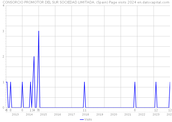 CONSORCIO PROMOTOR DEL SUR SOCIEDAD LIMITADA. (Spain) Page visits 2024 