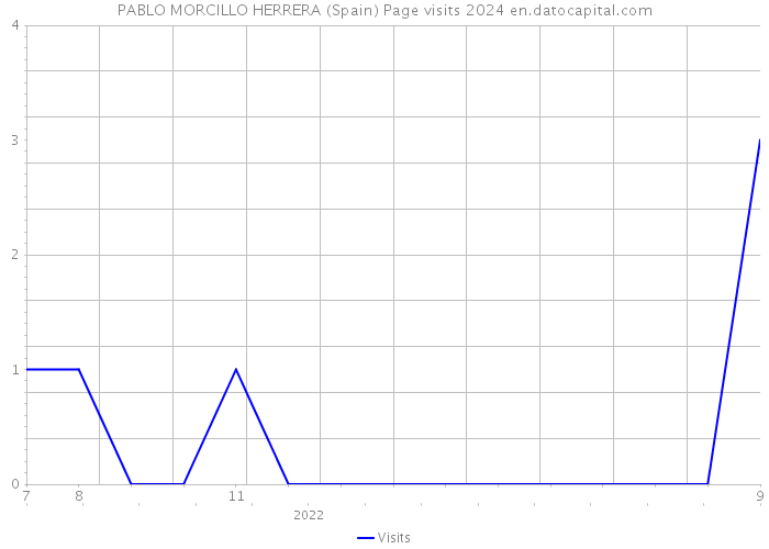 PABLO MORCILLO HERRERA (Spain) Page visits 2024 