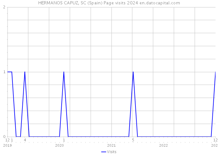 HERMANOS CAPUZ, SC (Spain) Page visits 2024 